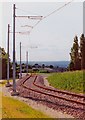 Herdings Park branch tram terminus