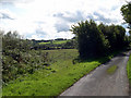 Road to Cefn-grugos Fawr