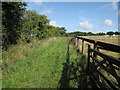 Public footpath