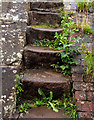 Steps on Cholmondeston Lock