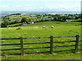 View over Littledean