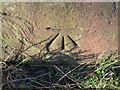 Bench mark on Saltney Stone Bridge