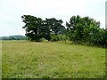 Pasture south of Sheepway