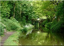 SJ7426 : Shropshire Union Canal at Knighton, Staffordshire by Roger  D Kidd