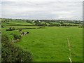 Magheracreggan Townland