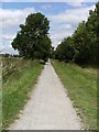 Selby to York Cycleway north of Riccall