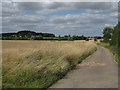 Track to Great Southwood Park Farm