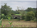 Bread and Beer House Bridge