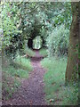 Green Tunnel