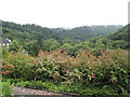 View from the churchyard at Holy Trinity, Coalbrookdale