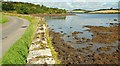 The shore of Strangford Lough near Downpatrick