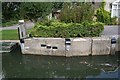 Flood marks across the lock