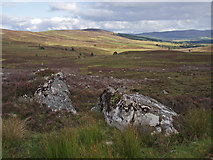 NJ0435 : Moorland south of Huntly's Cave by Dorothy Carse