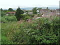 Suburbs of Kirkintilloch from the Canal