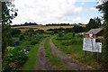 Saffron Walden Allotments