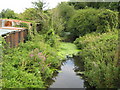 River Colne in Castle Hedingham