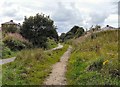 Trans Pennine Trail