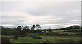 View northwards towards Plas Llanfaelog