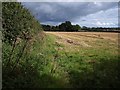 Field near Kingston St Mary