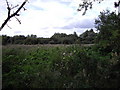 Cornard Mere