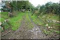 Llwybr i Chwilog Fawr - Path to Chwilog Fawr