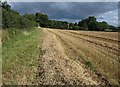 Field near Kingston St Mary