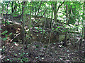 Derelict Tipping Dock, Harston Sidings, Denton Branch