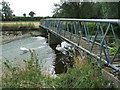 Swans On The Weir