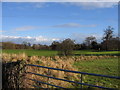 View across Lavister Brook and Darland Golf Course