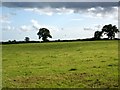 Grazing land near Hinton St Mary