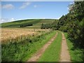 Headshaw Hill