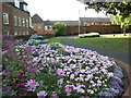 Park, near All Angels Church, Ledbury