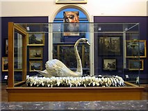 NZ0516 : The Silver Swan, Bowes Museum by Andrew Curtis