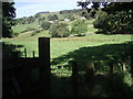 Hillside farms north of Pateley Bridge