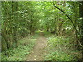 Footpath beside the disused railway