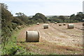 Field at Rissick