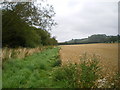 Footpath in the fields below Bourton Westwood hill