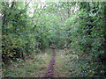 Woolsthorpe: trackbed of the High Dyke Branch