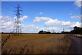 Electricity Pylon in a field by Steventon