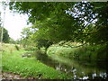 Meadows beside the Meese at Caynton