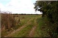 Farm track on Steventon Field