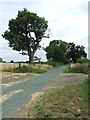 Cycle Route 51