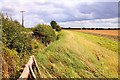 Footpath along the edge of the field