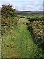 Bridleway to Dockwell Ridge