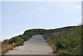 Path up Bishopstone Glen