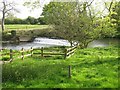 Ashford Weir