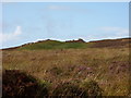 Beinn Bhiorach, Islay