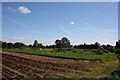 Across the allotment