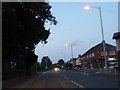 Dusk on West Coker Road