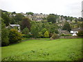 Mill Bank from Foxen Lane